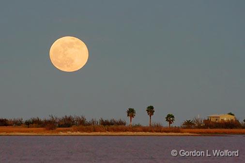 Moonrise Over Indianola_30867.jpg - Photographed along the Gulf coast from Powderhorn Lake near Port Lavaca, Texas, USA. 